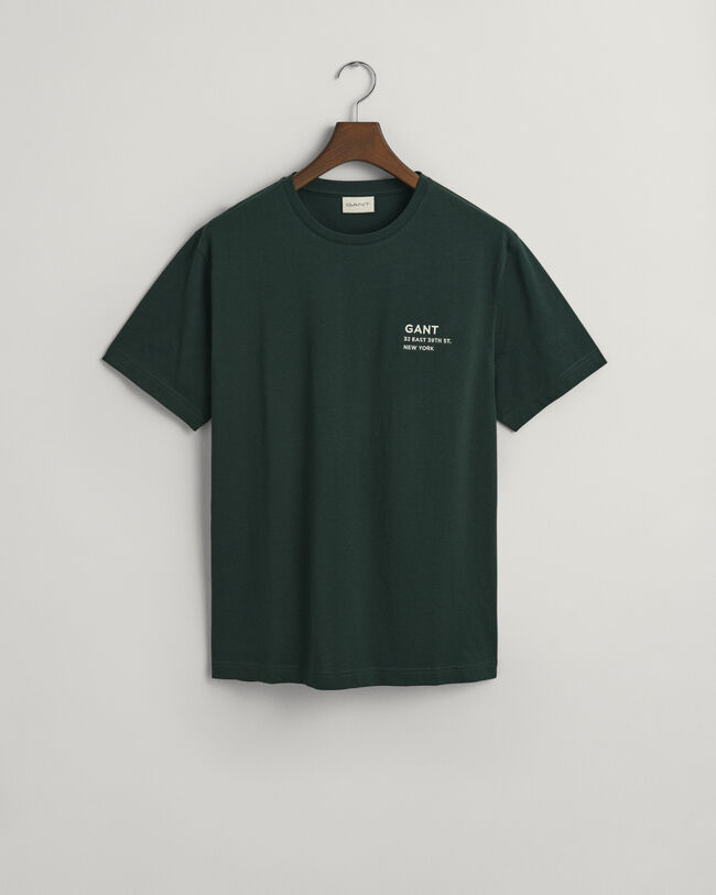 Small GANT Graphic T-shirt