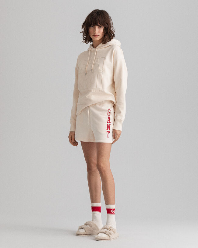 Retro Flag Logo short