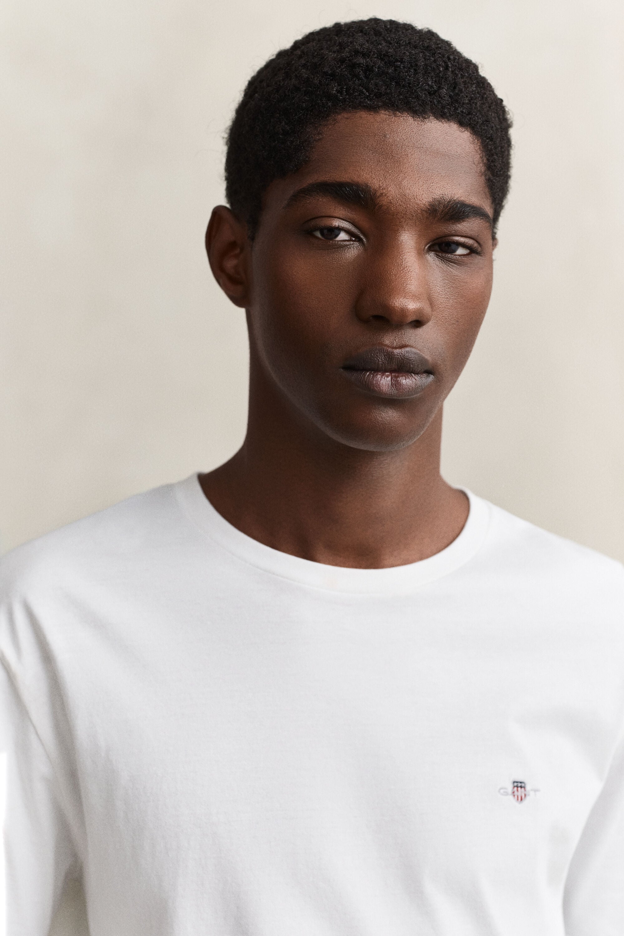Regular Fit Shield T-shirt