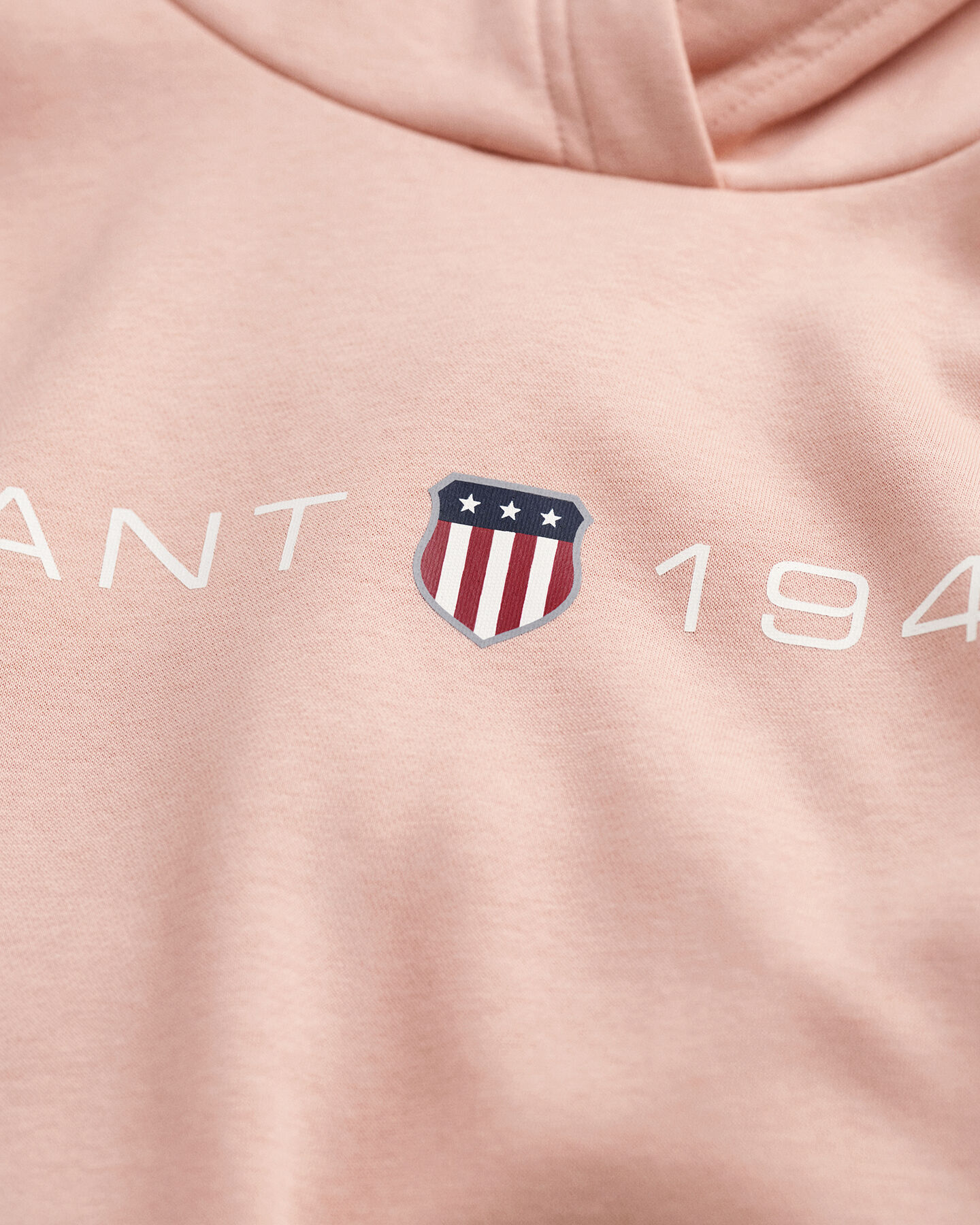 Archive Shield hoodie met print