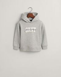 Kids GANT Arch Script hoodie