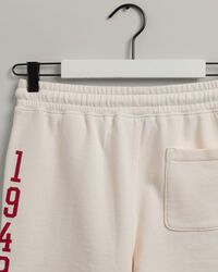 Retro Flag Logo short