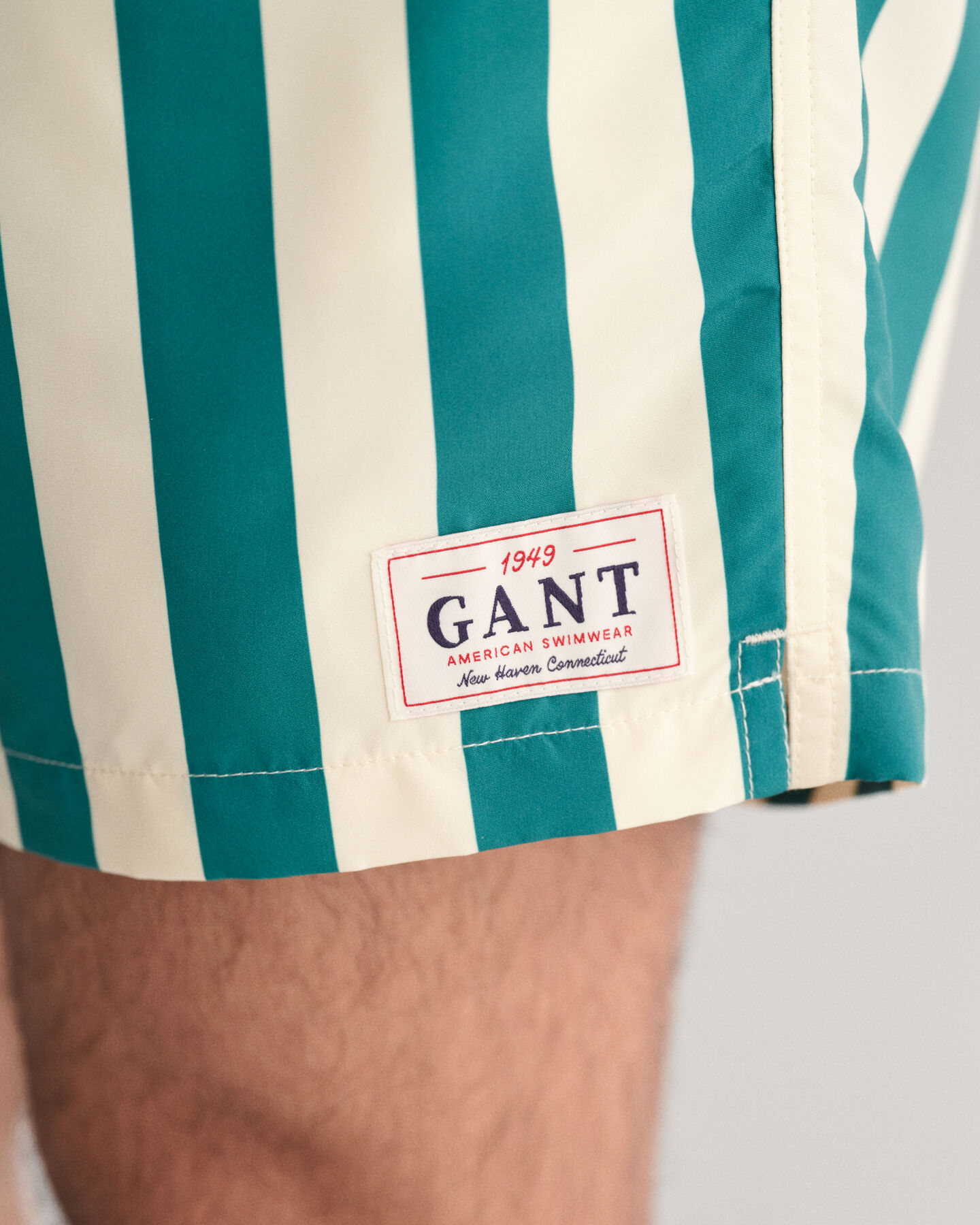 Block Striped Swim Shorts