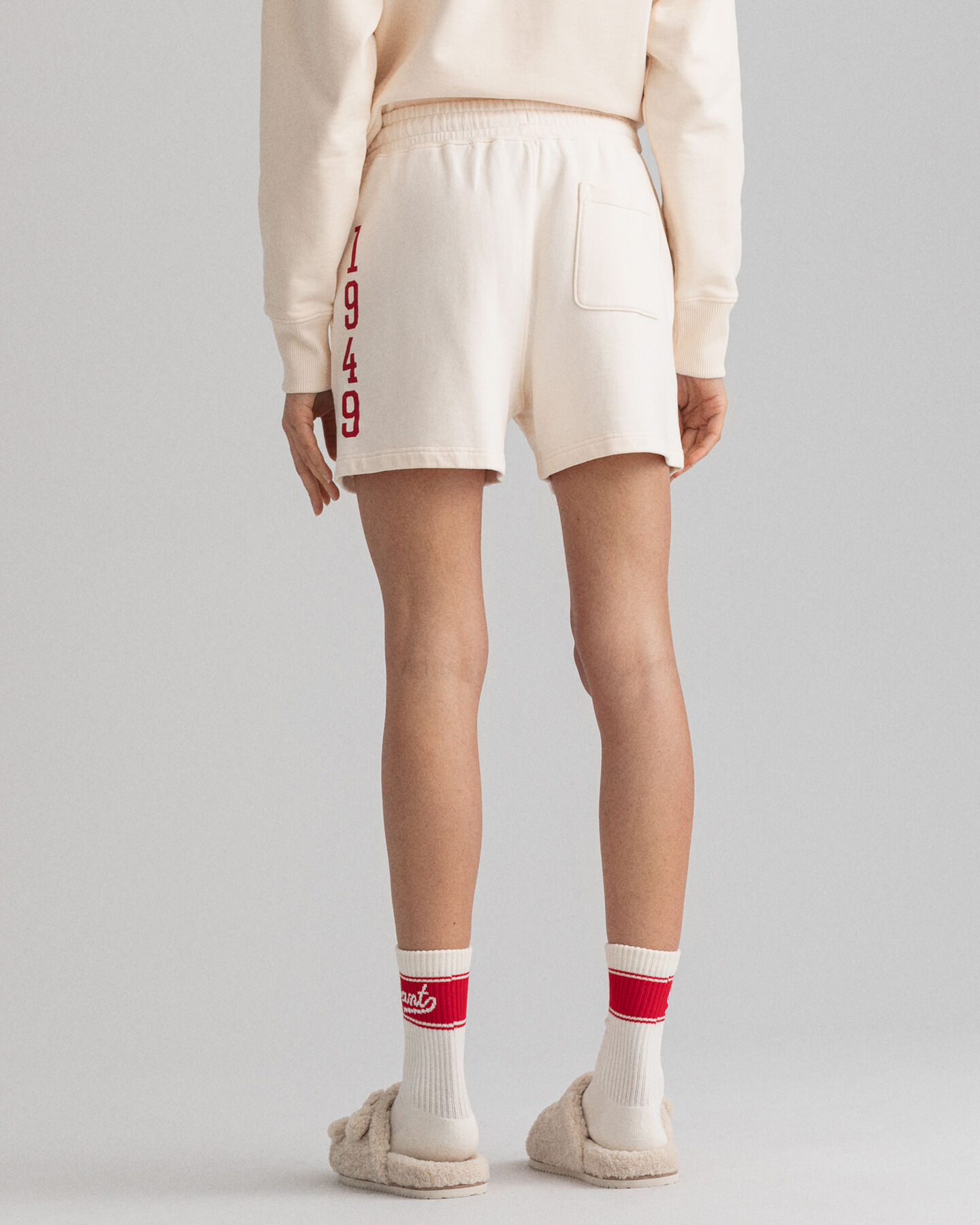 Retro Flag Logo short