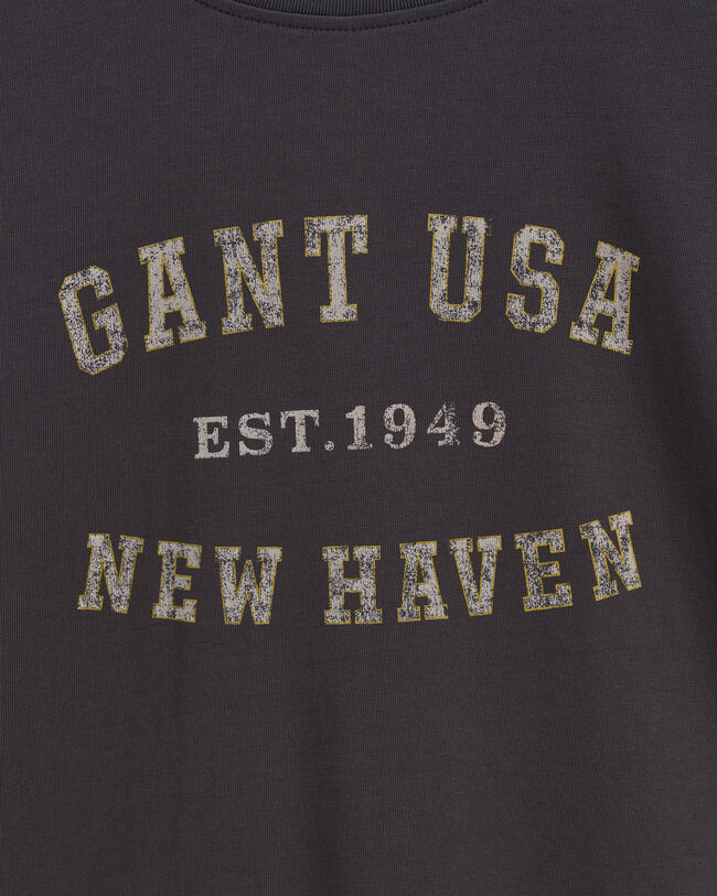 Teen Boys USA Graphic T-shirt