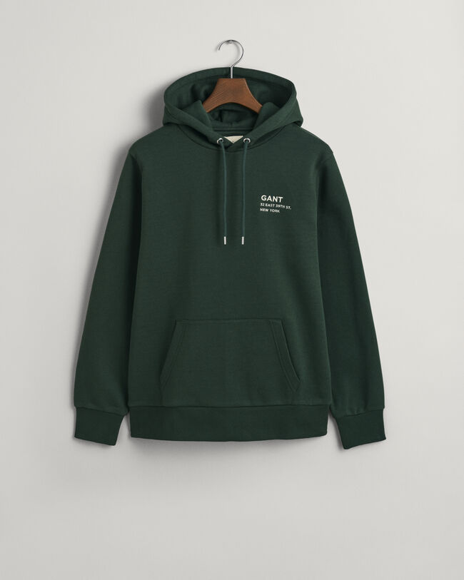 Small GANT Graphic hoodie