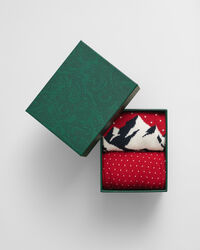 Set van twee paar Ski Artwork sokken in cadeauverpakking