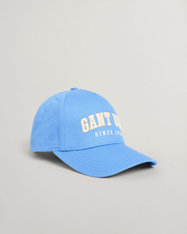 Teens USA Graphic pet