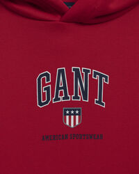 Teens Retro Shield hoodie