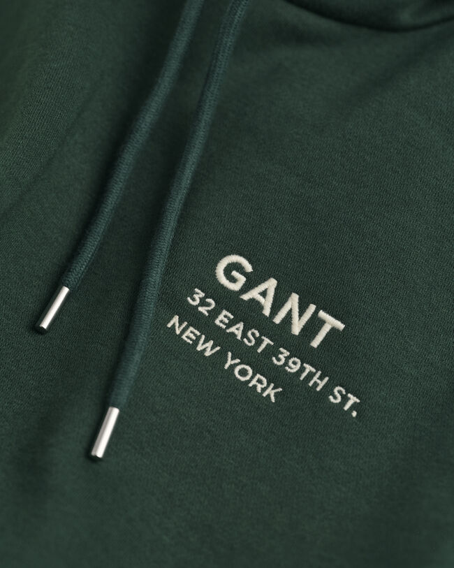 Small GANT Graphic hoodie