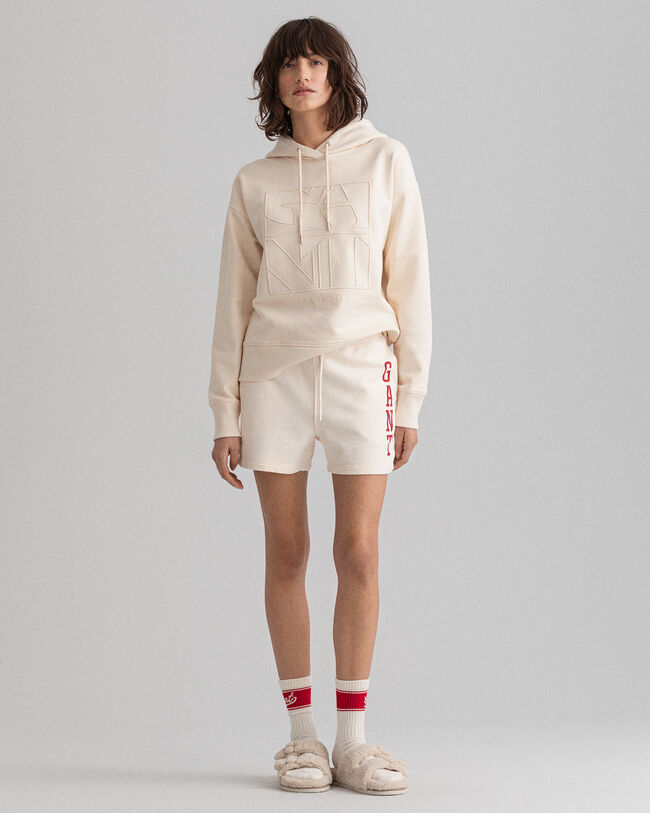 Retro Flag Logo short