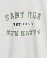 Teen Boys USA Graphic T-shirt