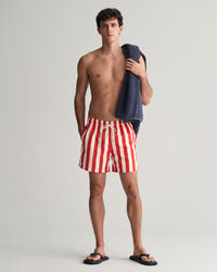 Block Striped Swim Shorts