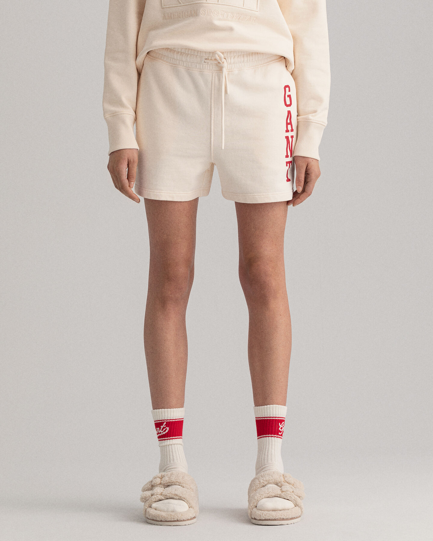 Retro Flag Logo short