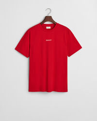 Small GANT Graphic T-shirt