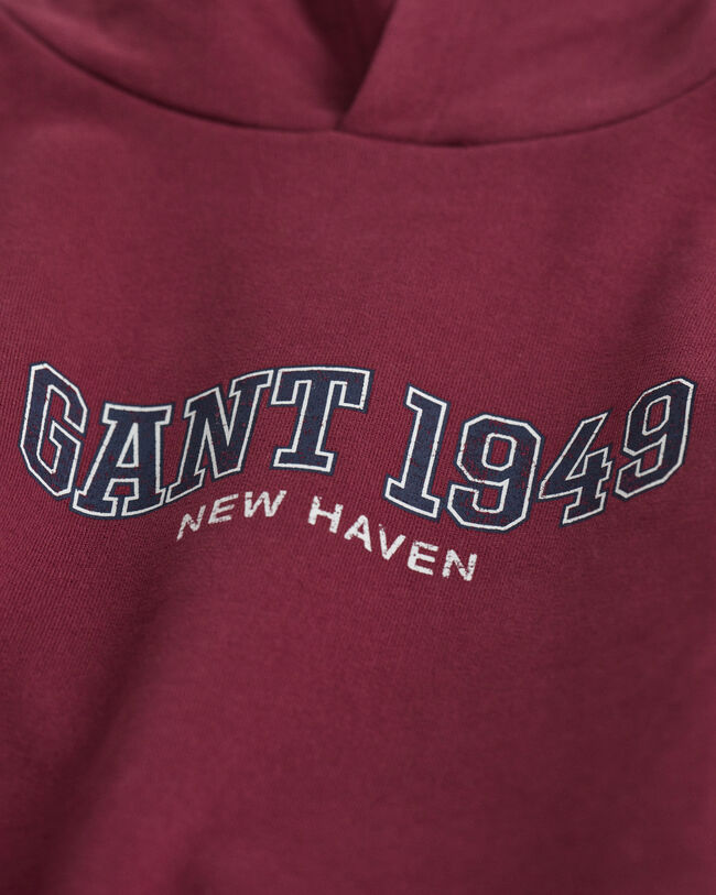 Teens GANT 1949 hoodie