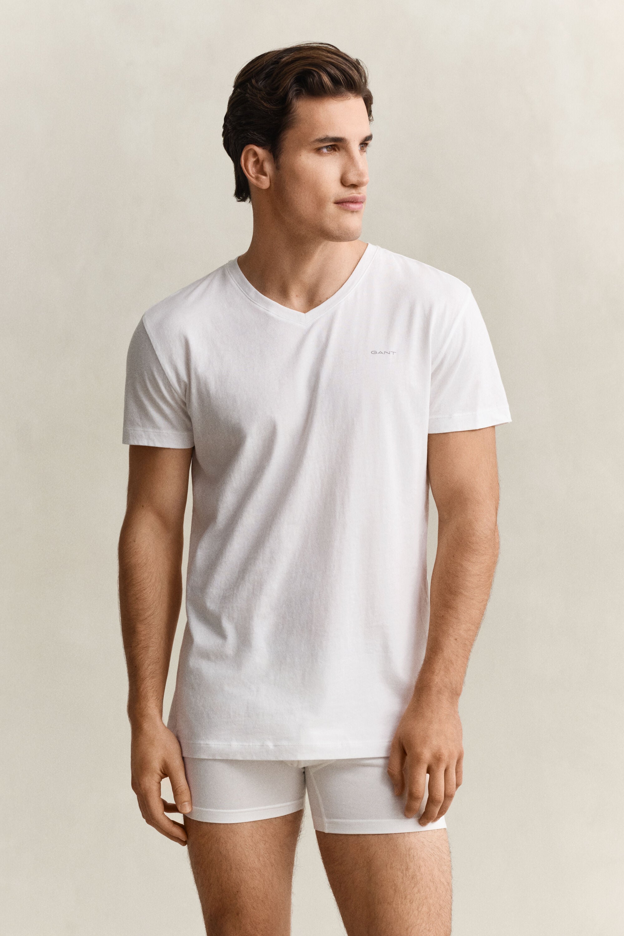 Set van twee T-shirts met V-hals