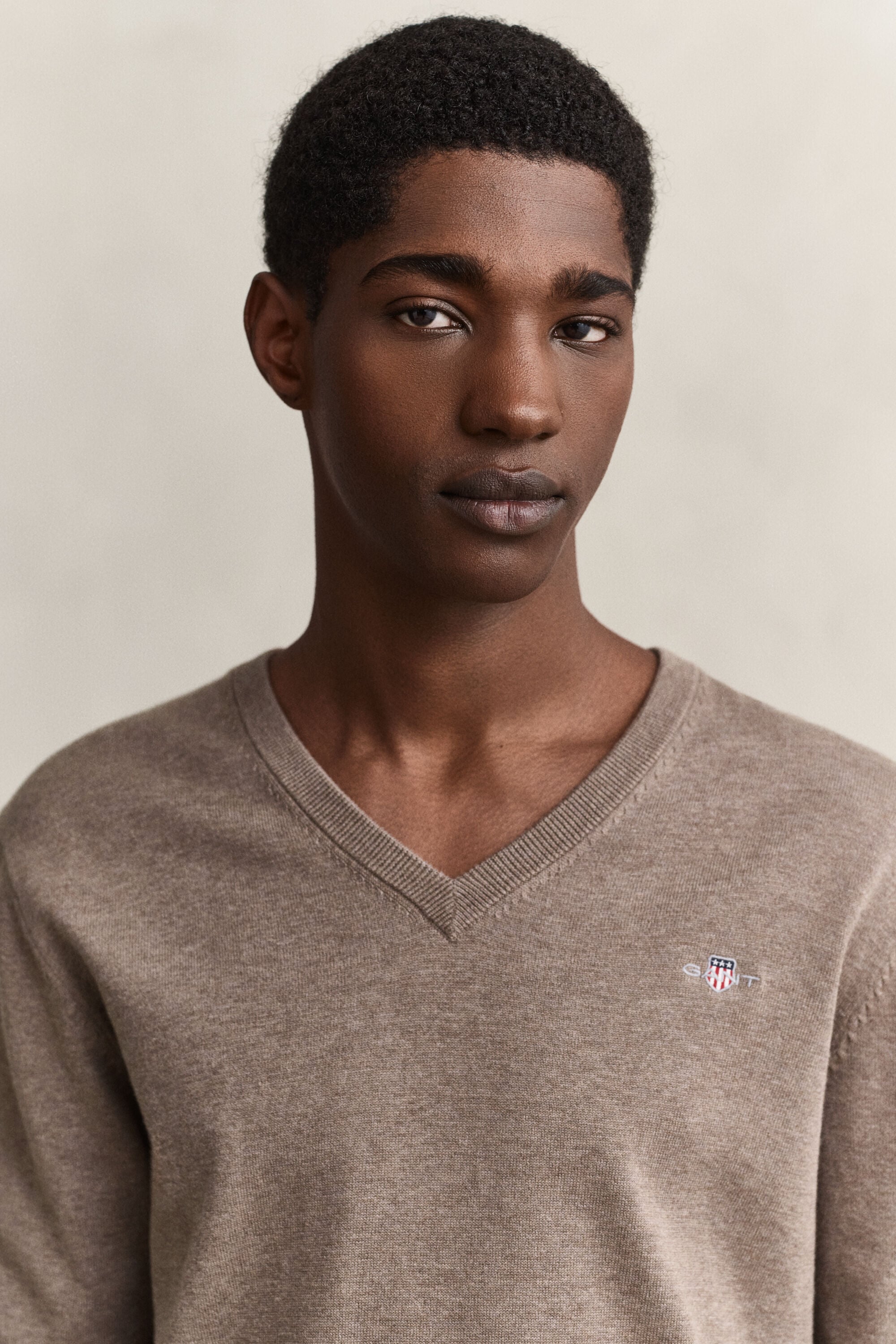 Klassieke sweater van katoen met V-hals