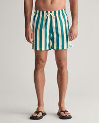 Block Striped Swim Shorts