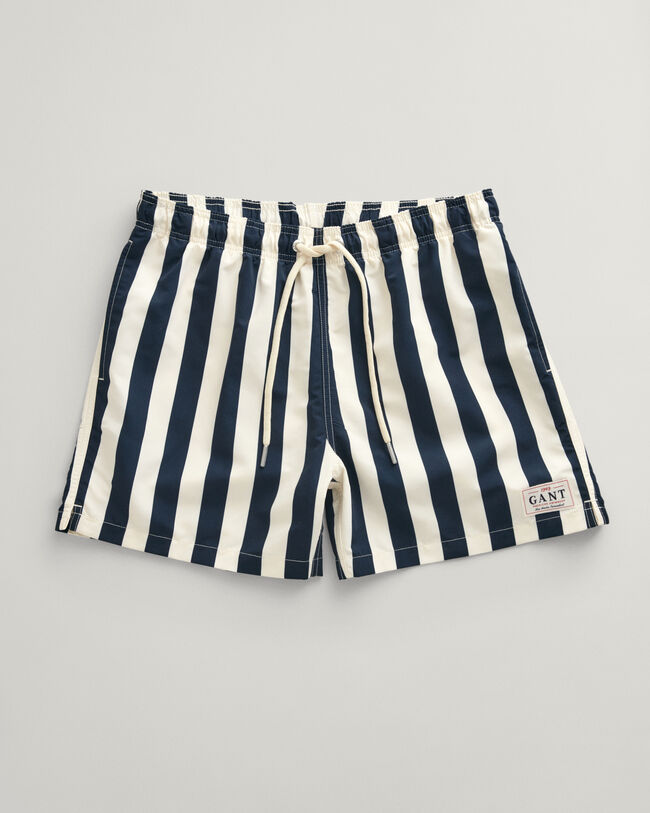 Block Striped Swim Shorts